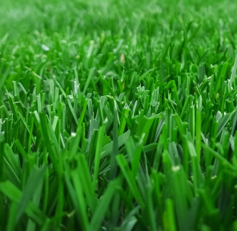 Rollrasen, der Solide Sport & Spiel Rasen